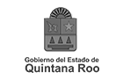 Agencia de Marketing Digital en Cancún  - QRoo Logo - Iddeas Mkt Creative